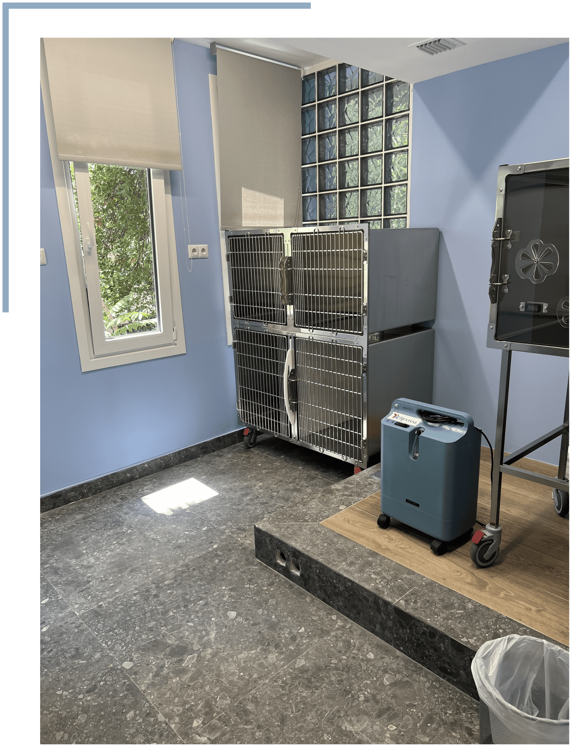 Το εσωτερικό του Vet Project, ενός σύγχρονου κτηνιατρείου στην Αθήνα που συνδυάζει design, καθαριότητα και ιατρική αρτιότητα.