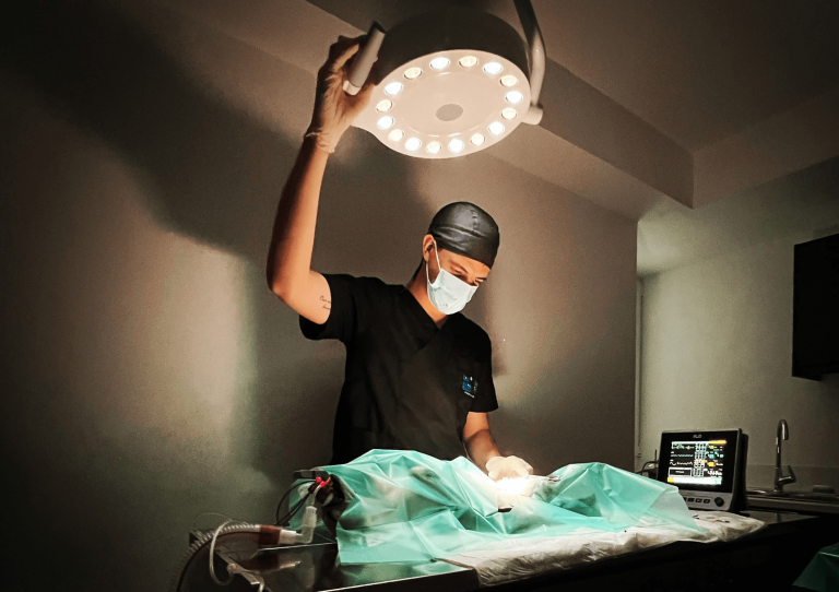 vet-project-veterinary-clinic-athens-vet-in-action-surgical-intervention-min